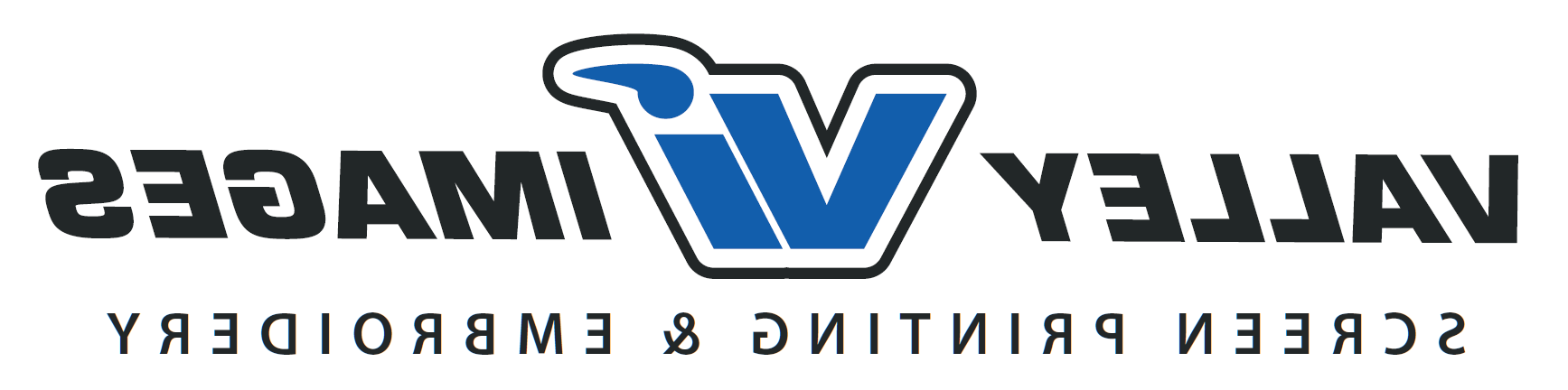 Valley Images logo: the letters V and I in blue, interlinked at the center and outlined in black, with the word Valley to the left and Images to the right, both in a simple black font.